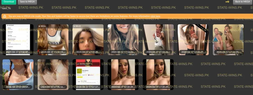 Snap Service - Unlimited Requests